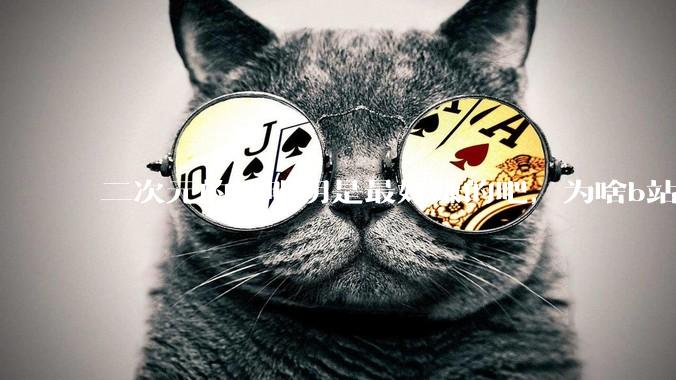 二次元的钱明明是最好赚的吧，为啥b站会亏损到现在呢？